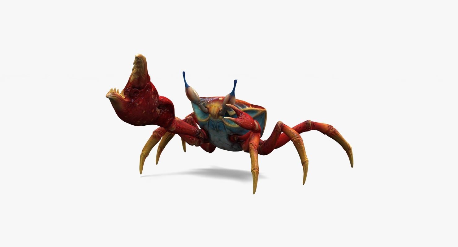 Red Crab Low-poly 3D model_9