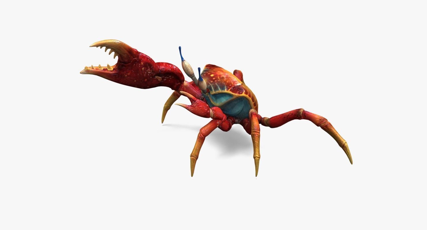 Red Crab Low-poly 3D model_5