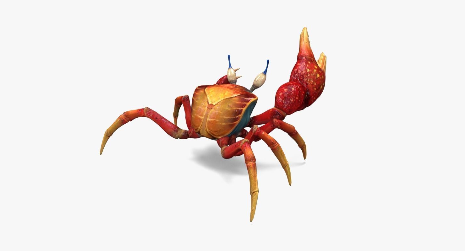Red Crab Low-poly 3D model_3