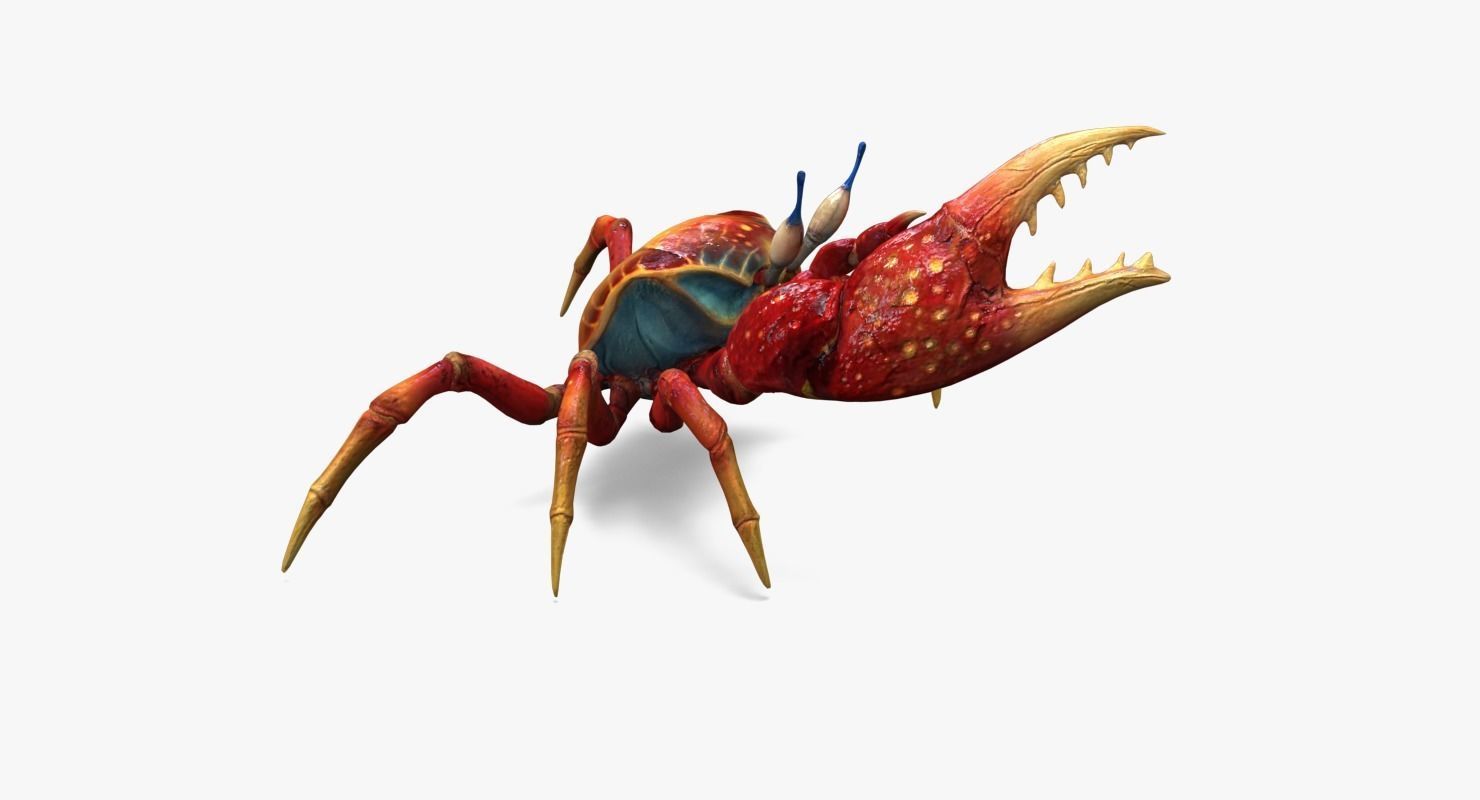 Red Crab Low-poly 3D model_4