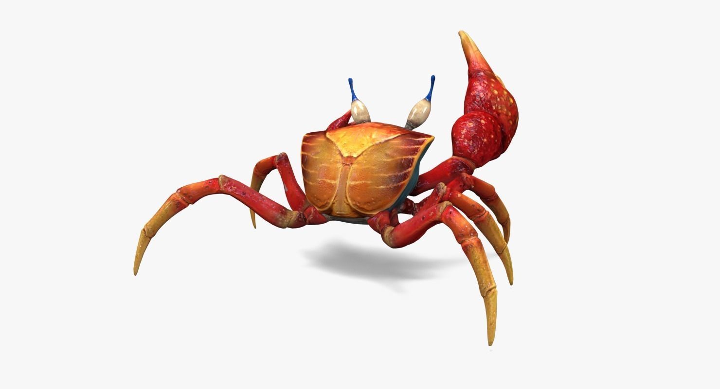 Red Crab Low-poly 3D model_7