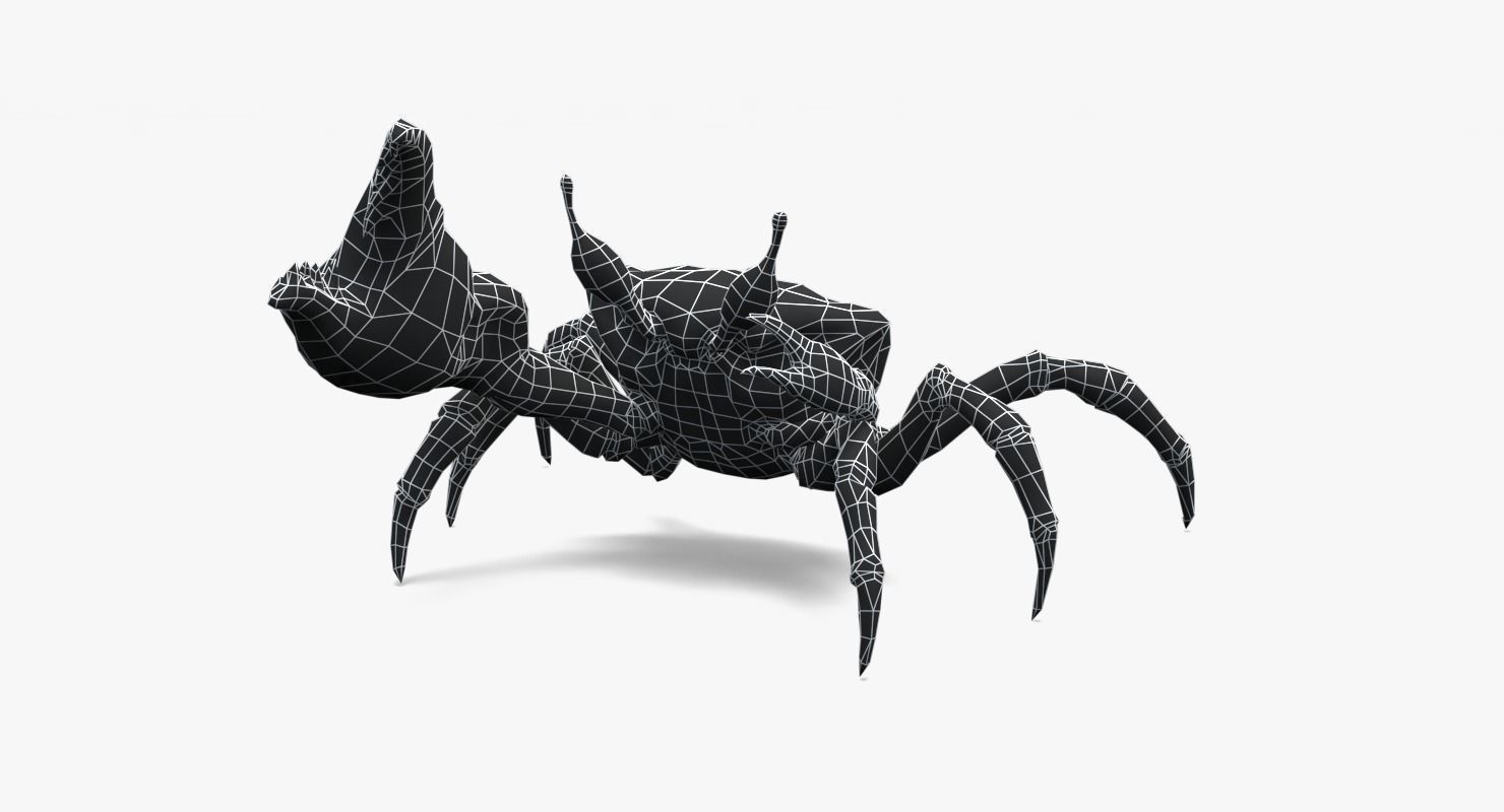Fiddler Crab Low-poly 3D model_13
