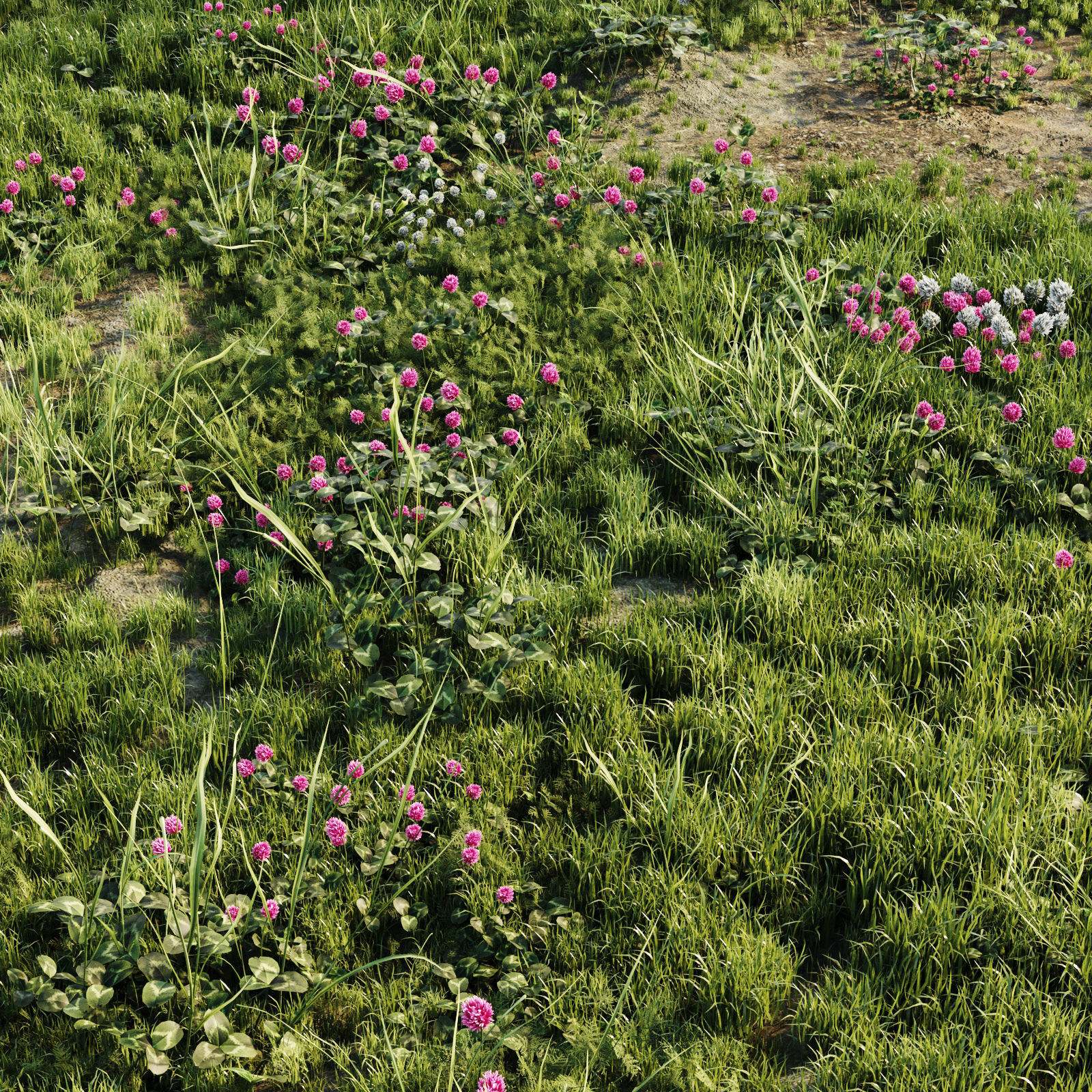 Meadow Grass 3D model_1