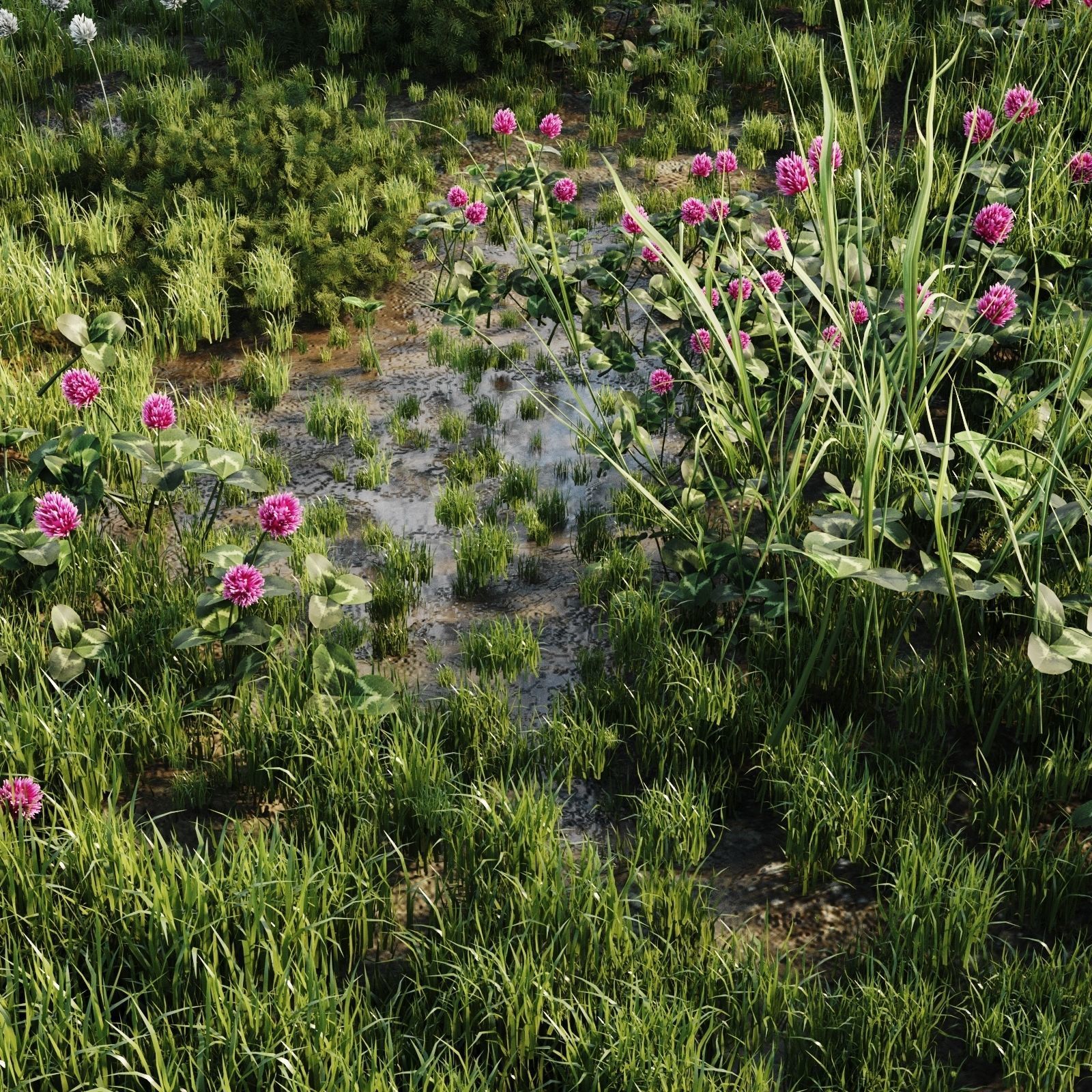 Meadow Grass 3D model_2