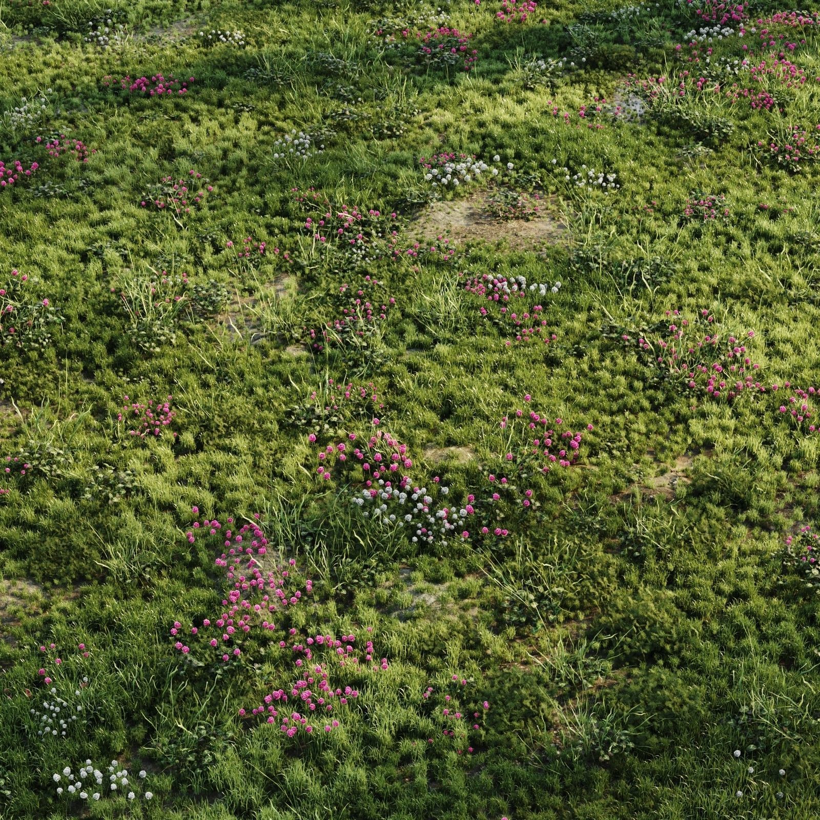 Meadow Grass 3D model_3
