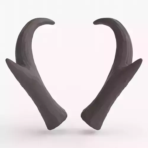 Pronghorn Horns - Sage