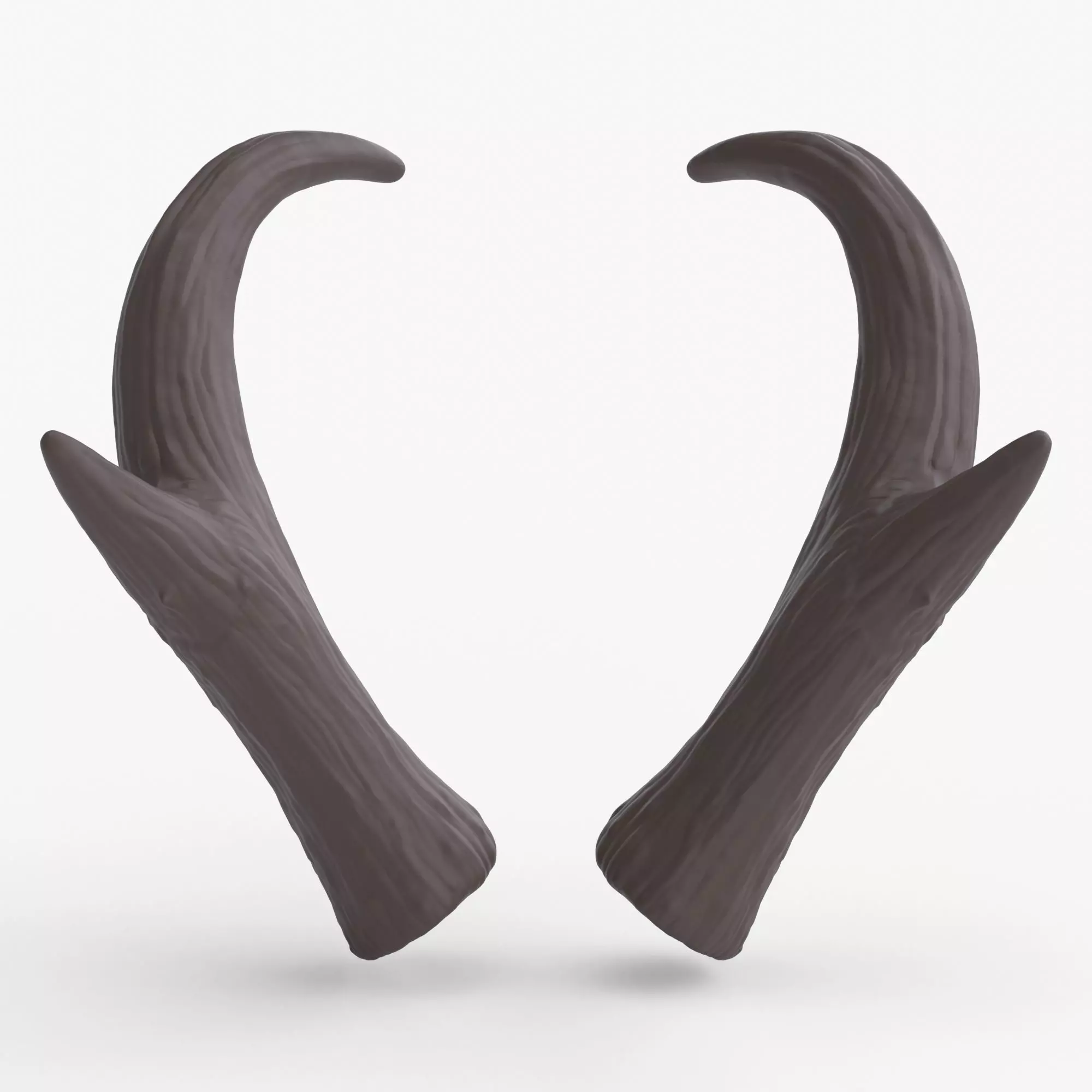 Pronghorn Horns - Sage 3D print model_0