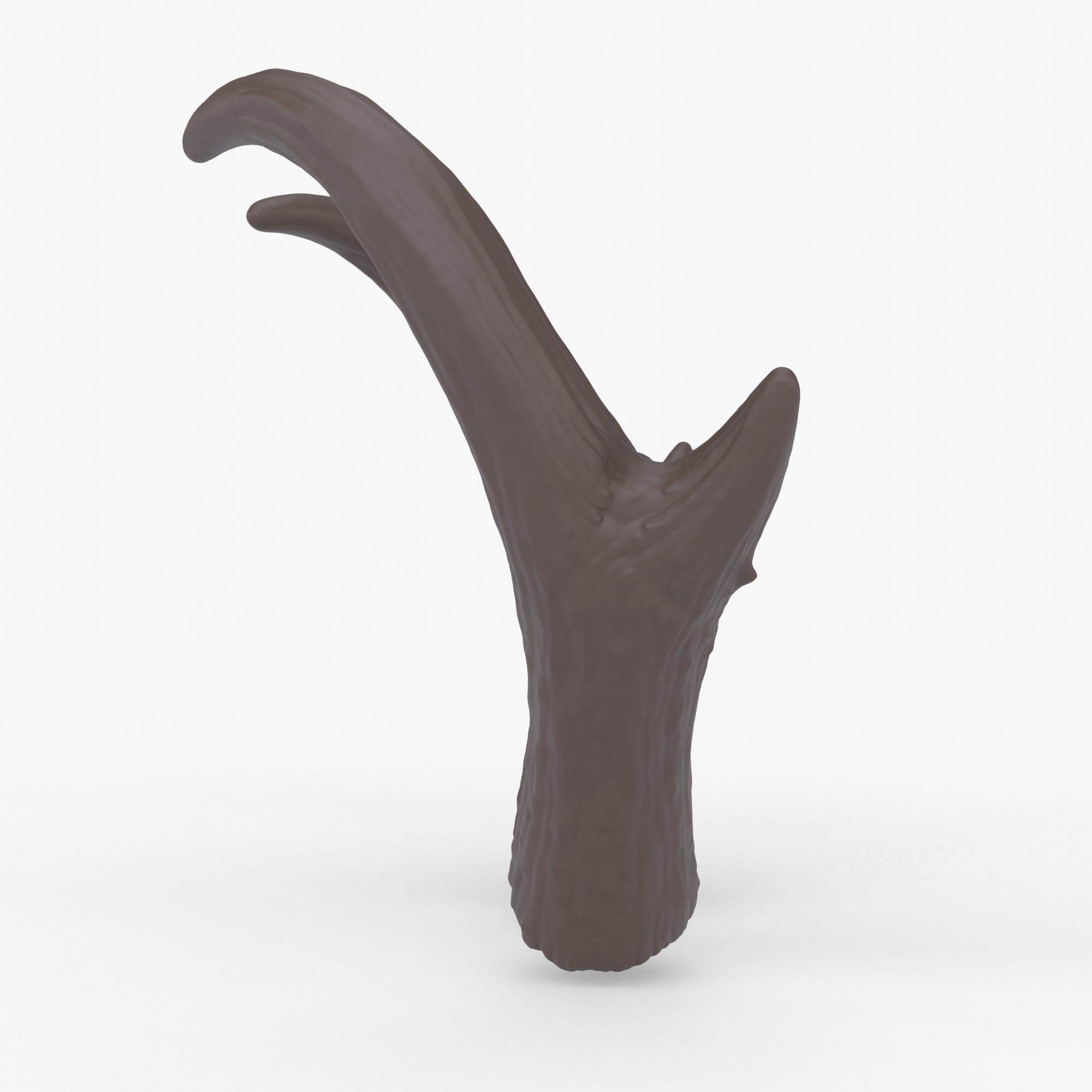 Pronghorn Horns - Sage 3D print model_4