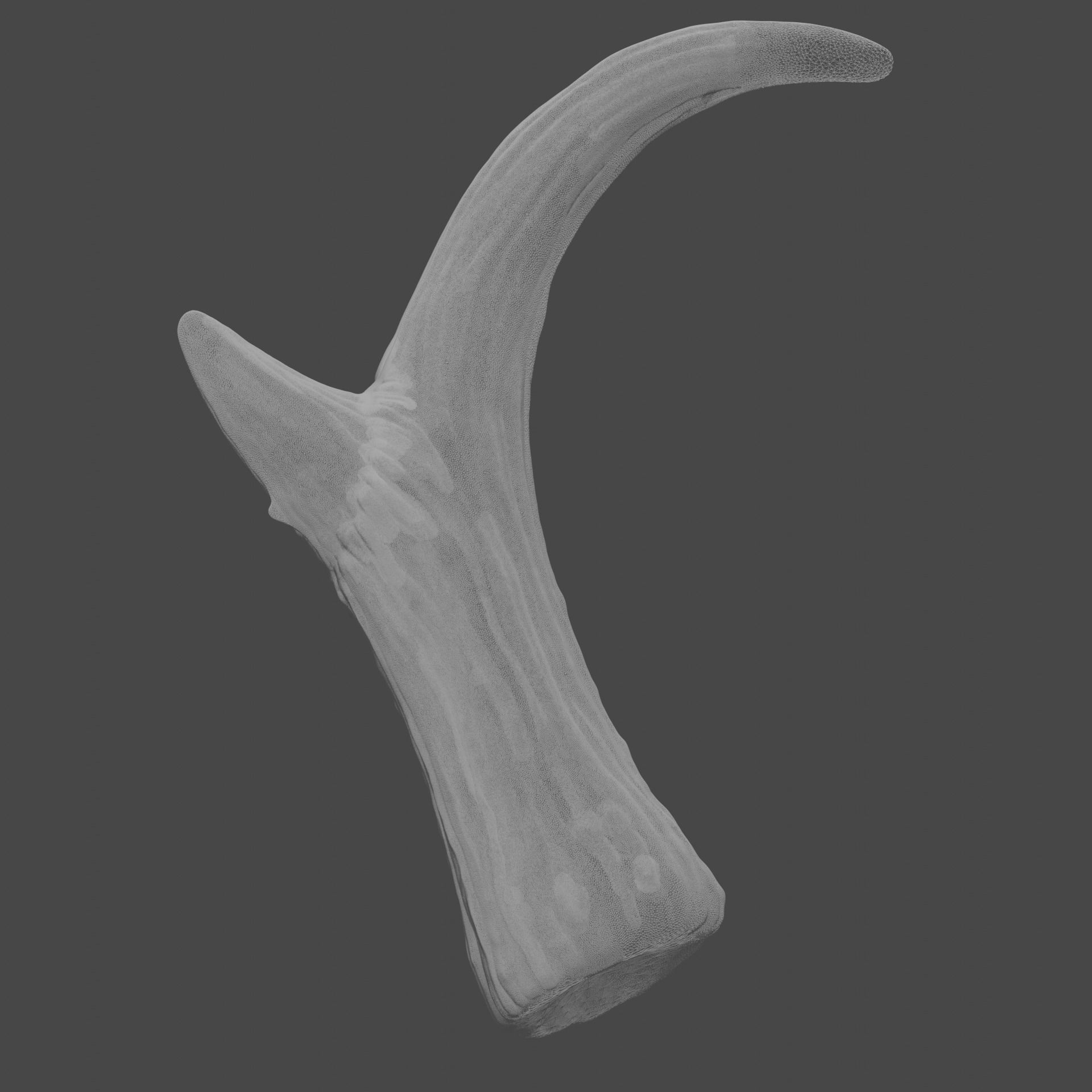 Pronghorn Horns - Sage 3D print model_6