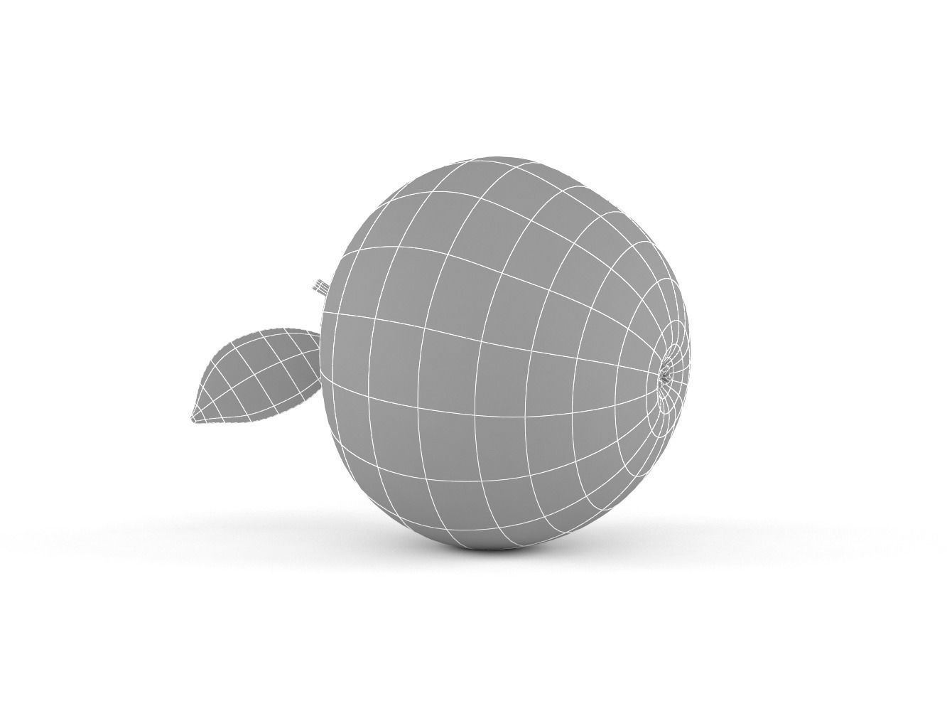 Apple 3D model_11