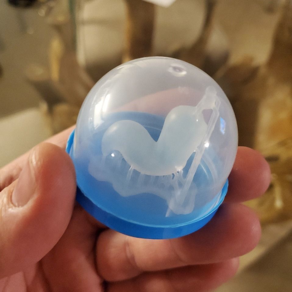 Bobs Burgers Pet Slug Slugaconda 3D print model_11