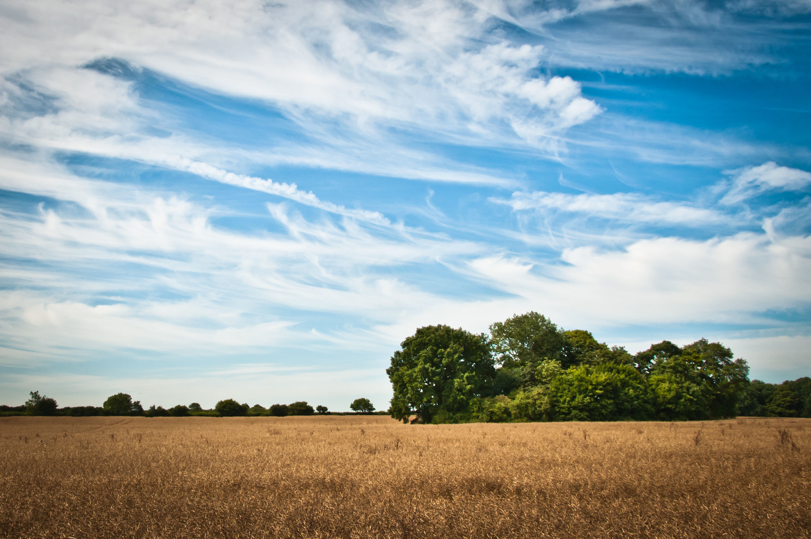 Residential Buildings 3D model_12