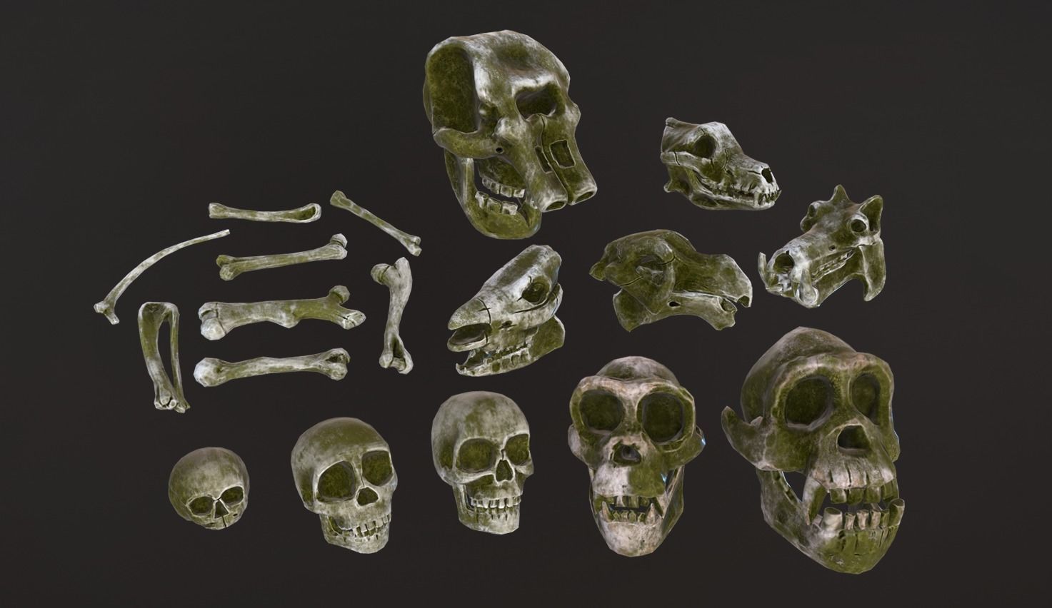 Stylized Skulls and bones pack Low-poly 3D model_5