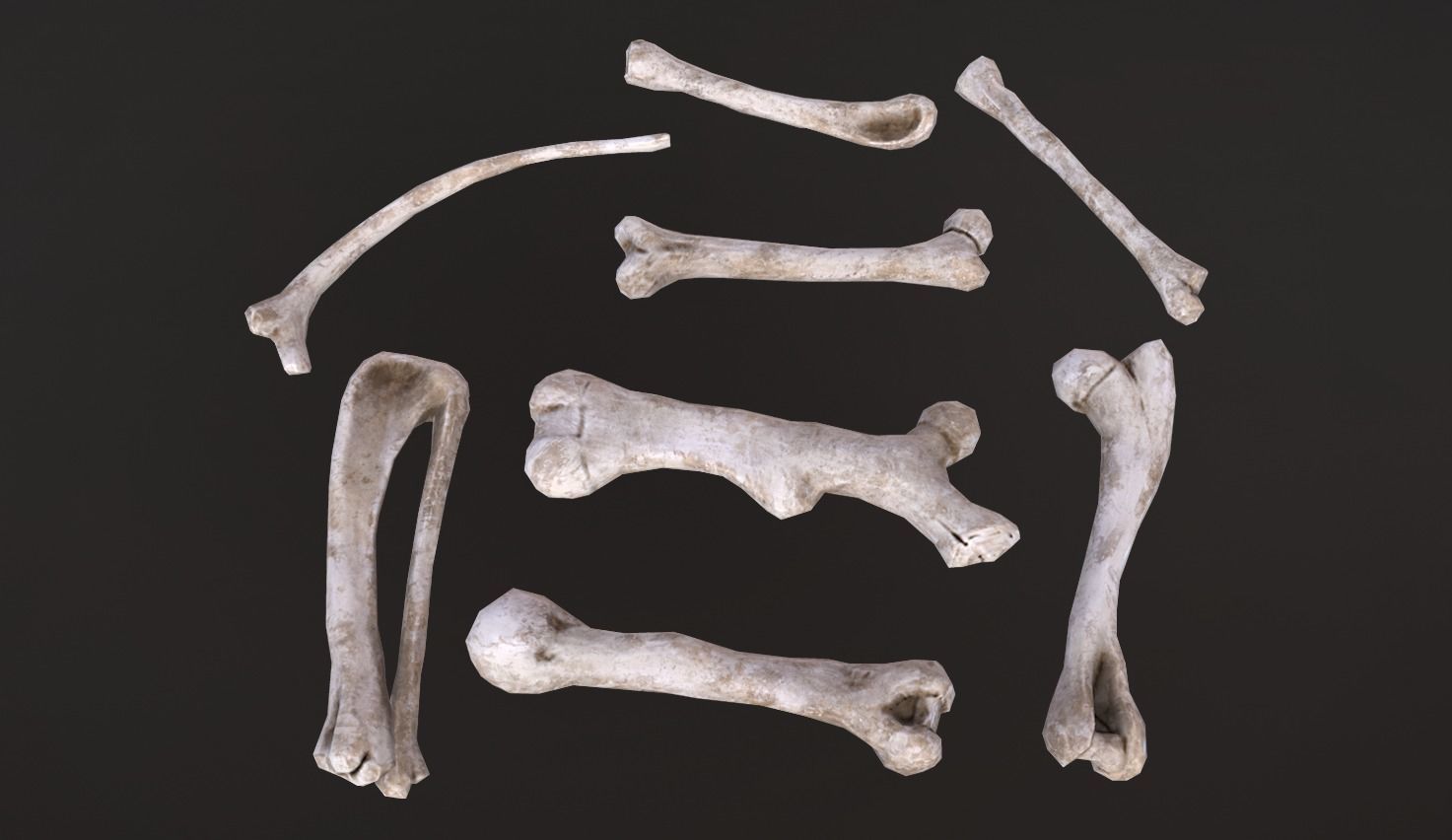 Stylized Skulls and bones pack Low-poly 3D model_19