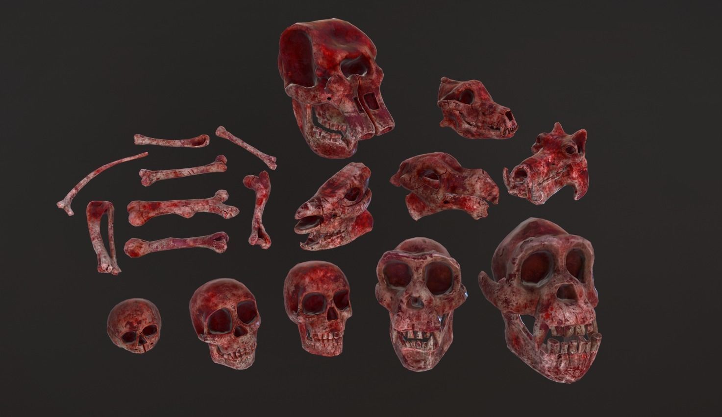 Stylized Skulls and bones pack Low-poly 3D model_2