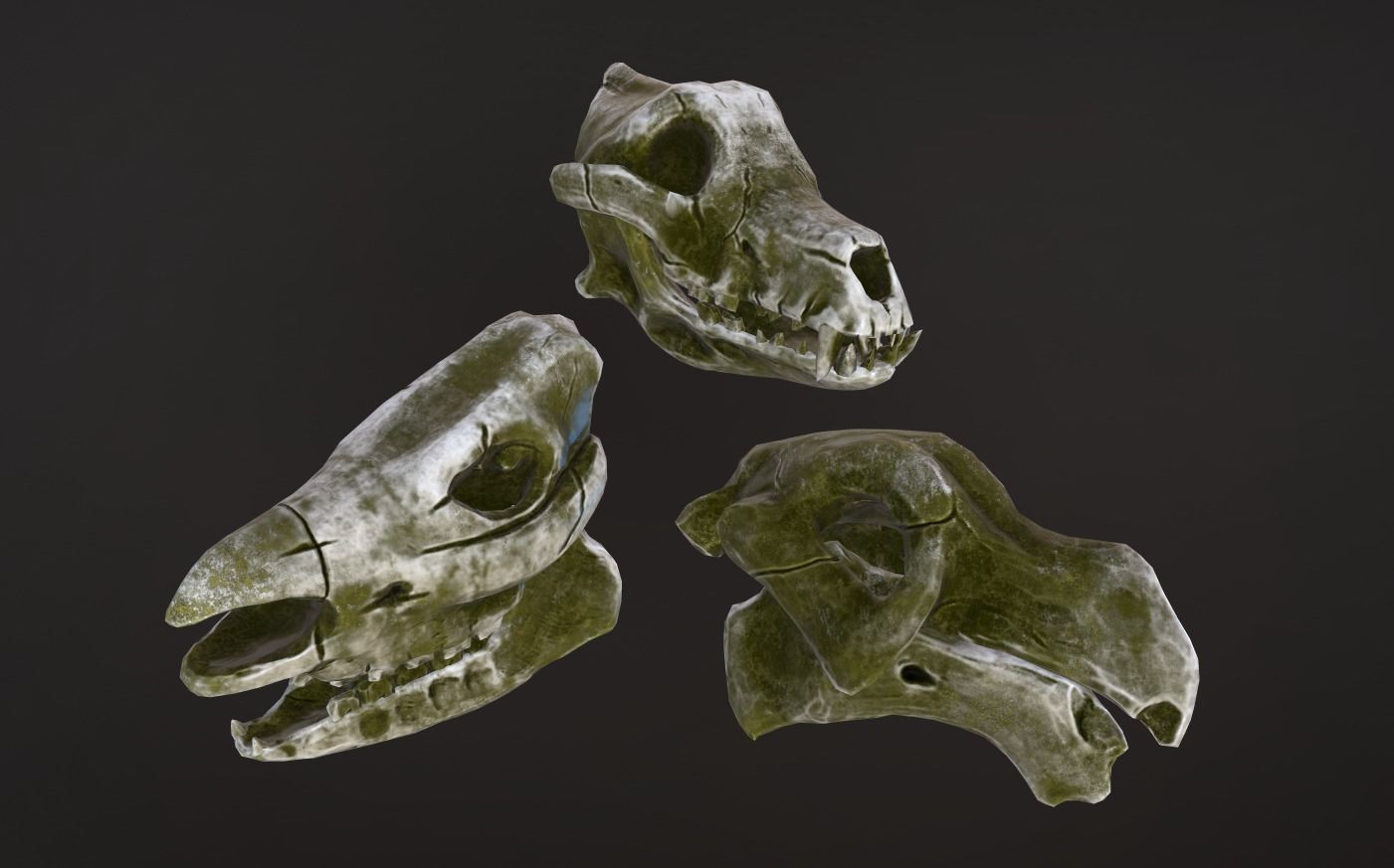 Stylized Skulls and bones pack Low-poly 3D model_10