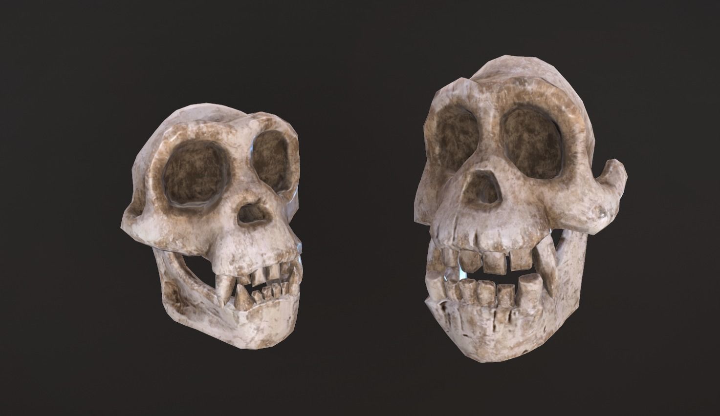 Stylized Skulls and bones pack Low-poly 3D model_29