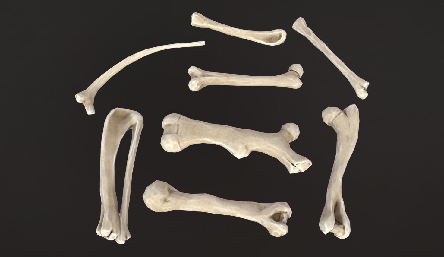 Stylized Skulls and bones pack Low-poly 3D model_18