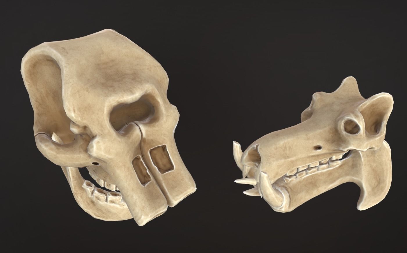 Stylized Skulls and bones pack Low-poly 3D model_13