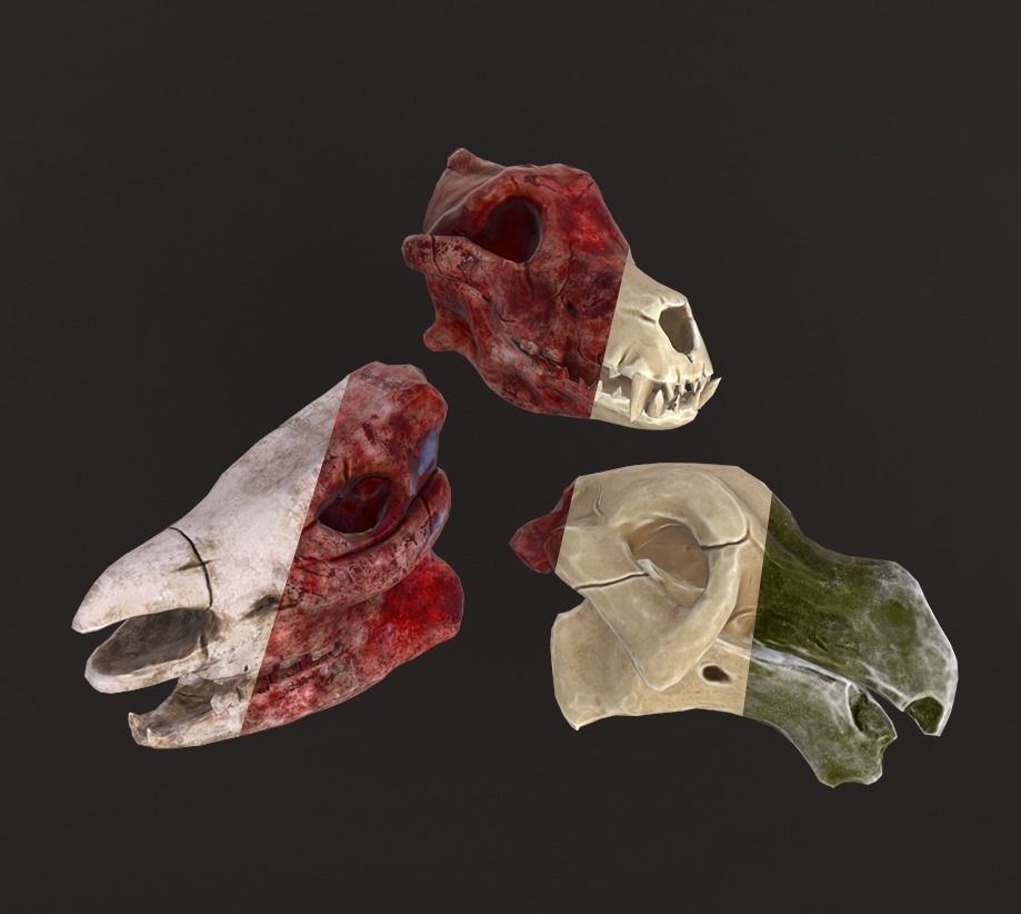 Stylized Skulls and bones pack Low-poly 3D model_32
