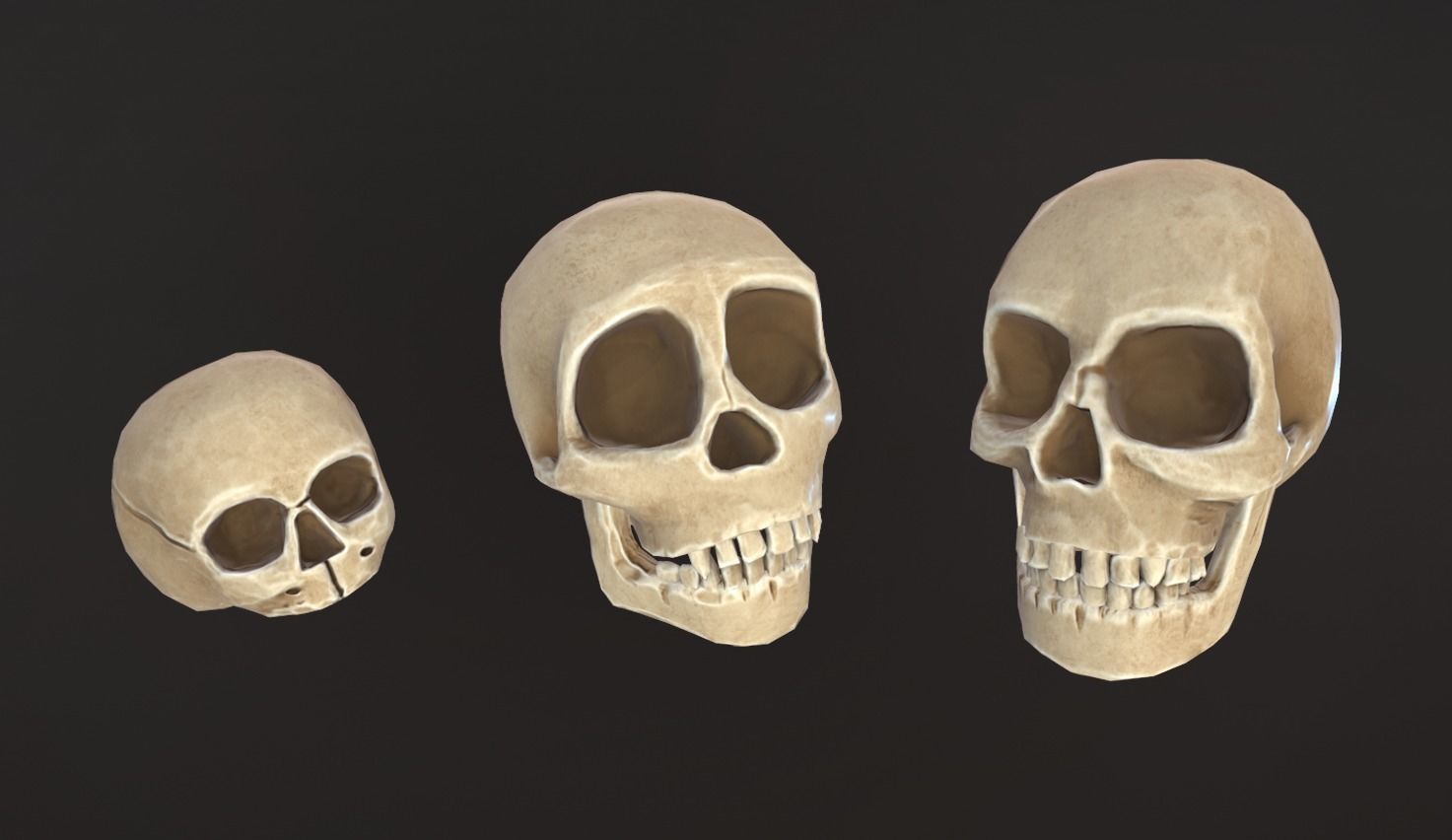 Stylized Skulls and bones pack Low-poly 3D model_23
