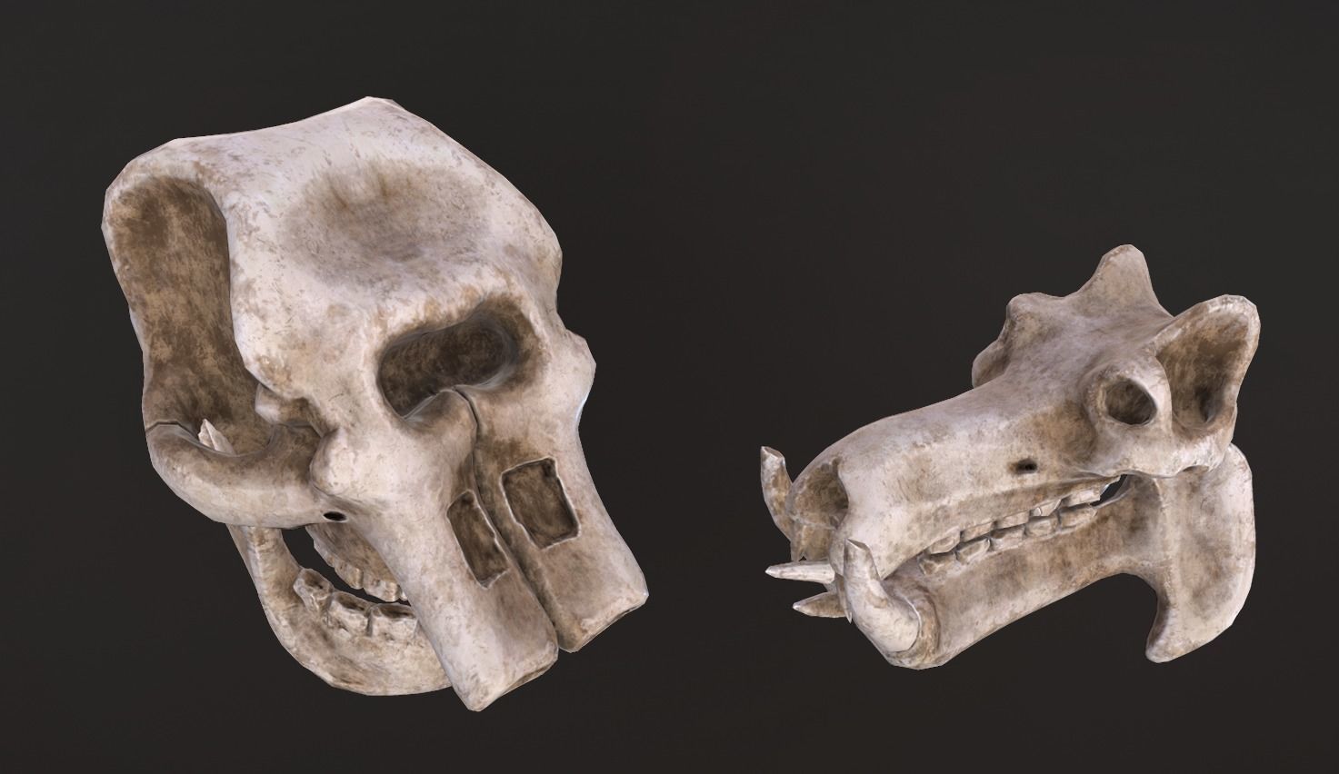 Stylized Skulls and bones pack Low-poly 3D model_14