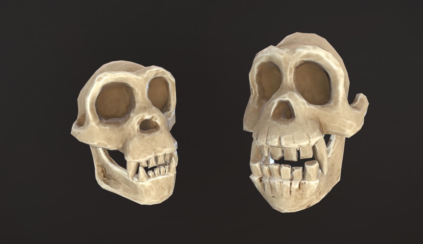 Stylized Skulls and bones pack Low-poly 3D model_28