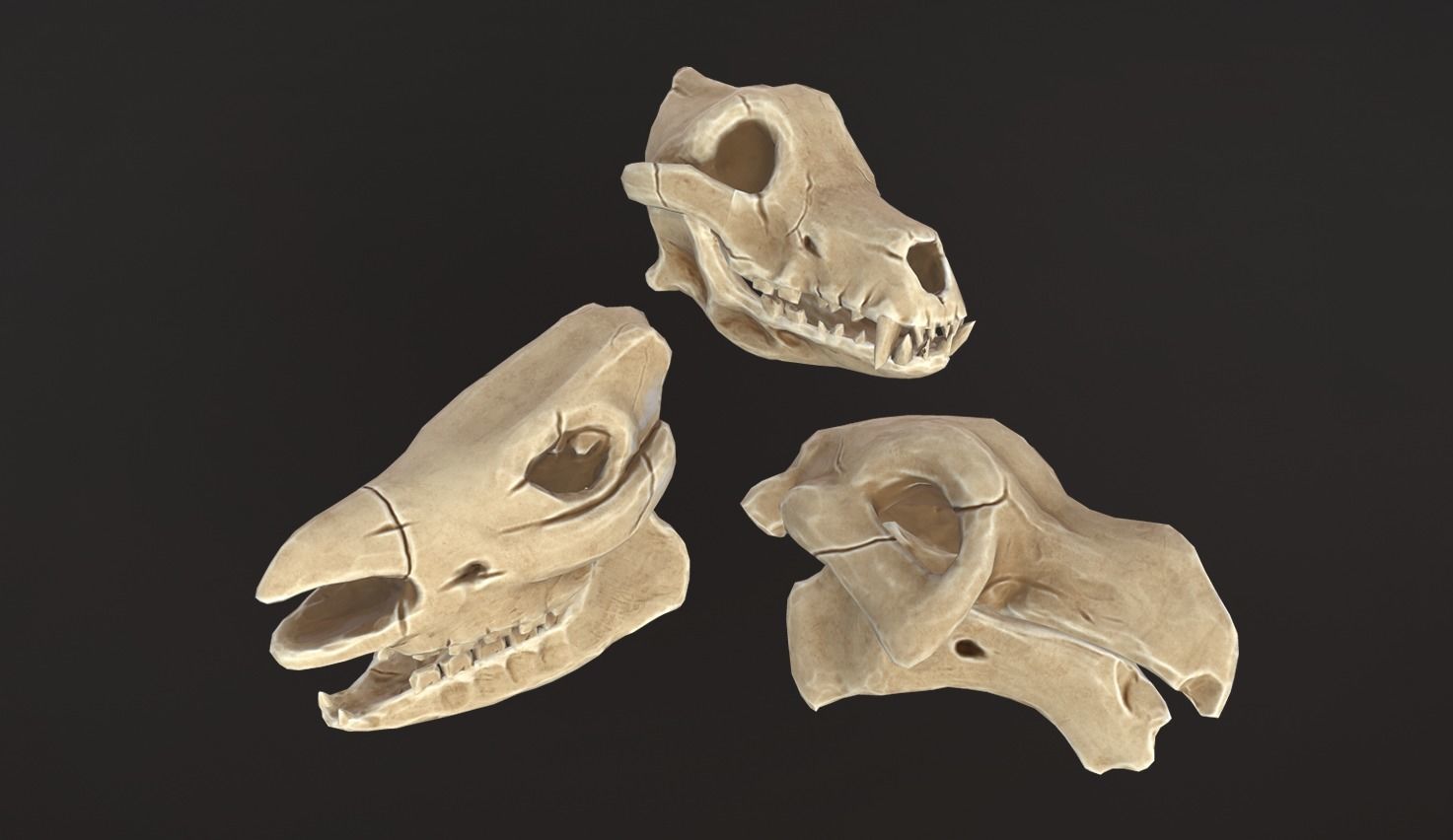 Stylized Skulls and bones pack Low-poly 3D model_8