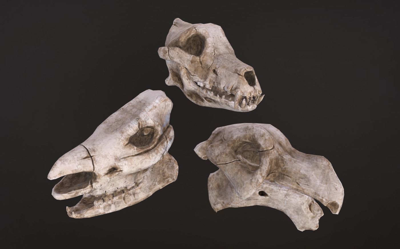 Stylized Skulls and bones pack Low-poly 3D model_9