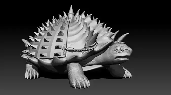 Tortashidze model tortoise with spikes