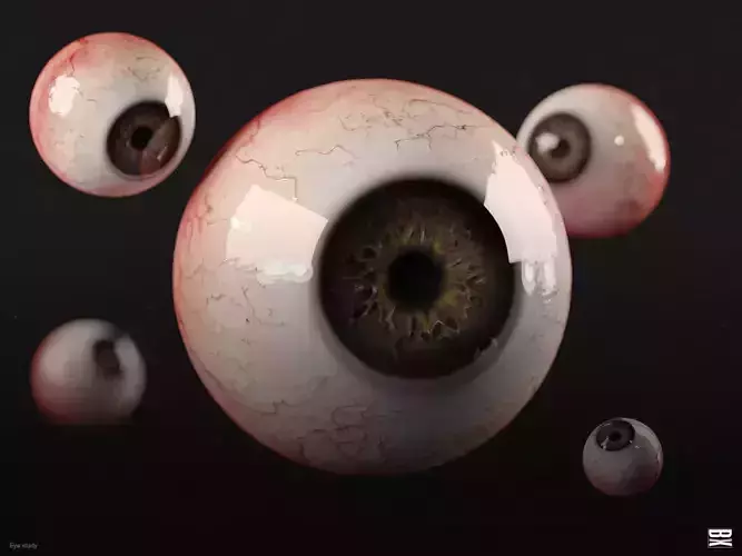 Realistic PBR Human Eye - Simple Anatomy eyeball 3D model