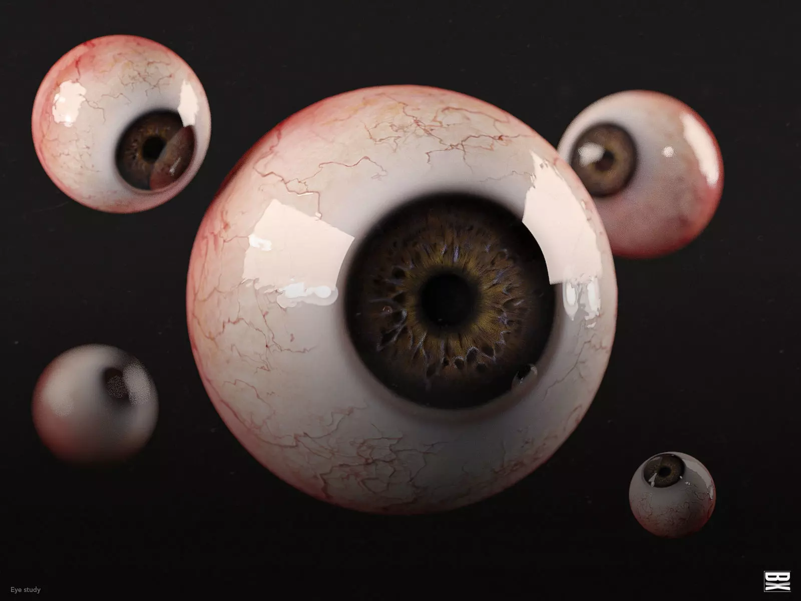 Realistic PBR Human Eye - Simple Anatomy eyeball 3D model