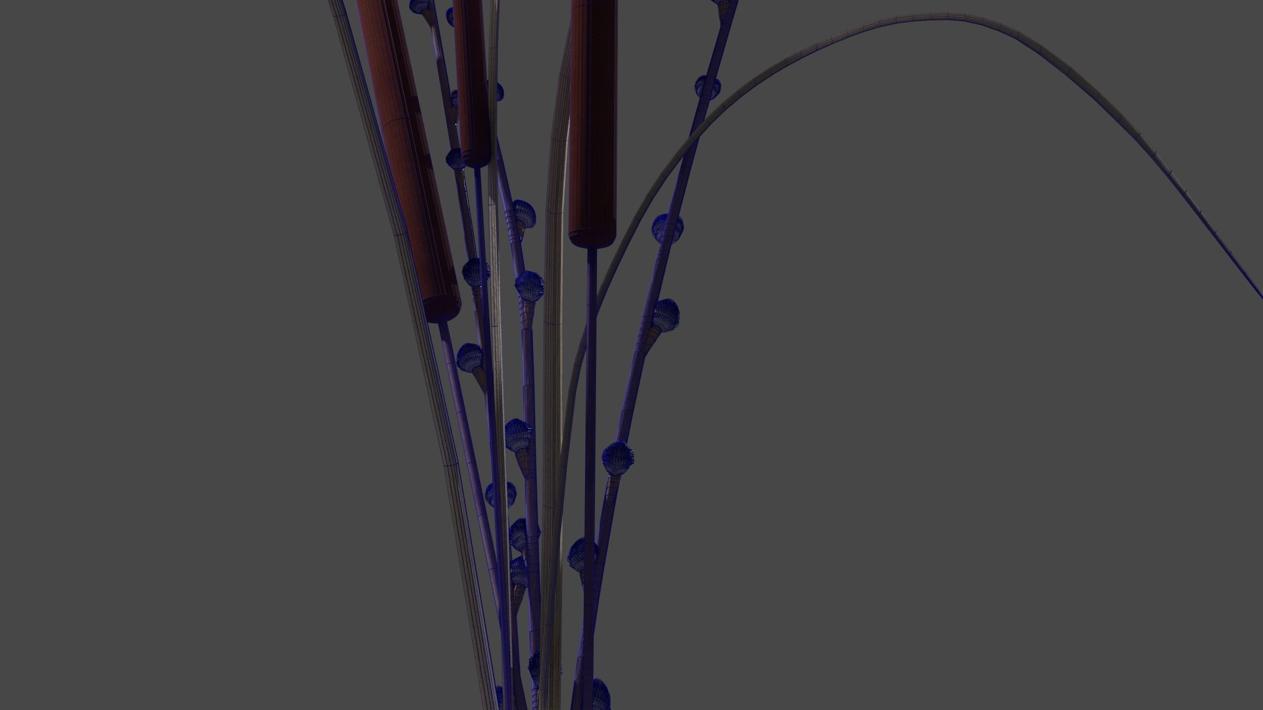 Vase with dried arrangement PBR 4K Photogrammetry 3D model_9