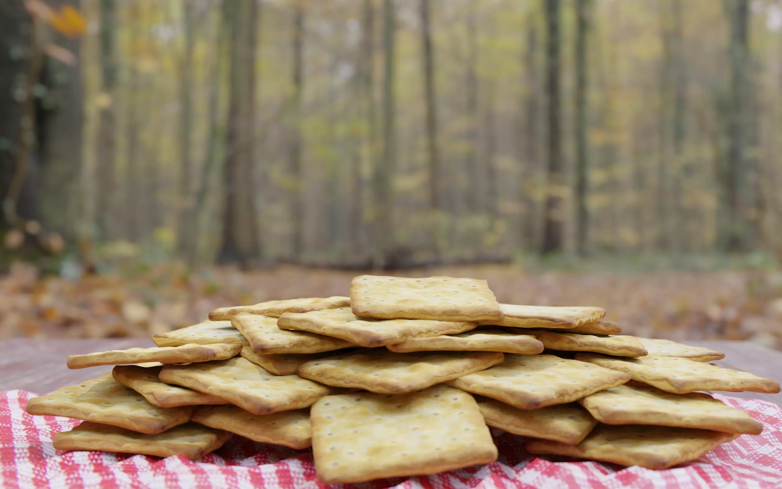 Biscuit cracker  realistic 3D model_0