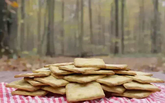 Biscuit cracker  realistic