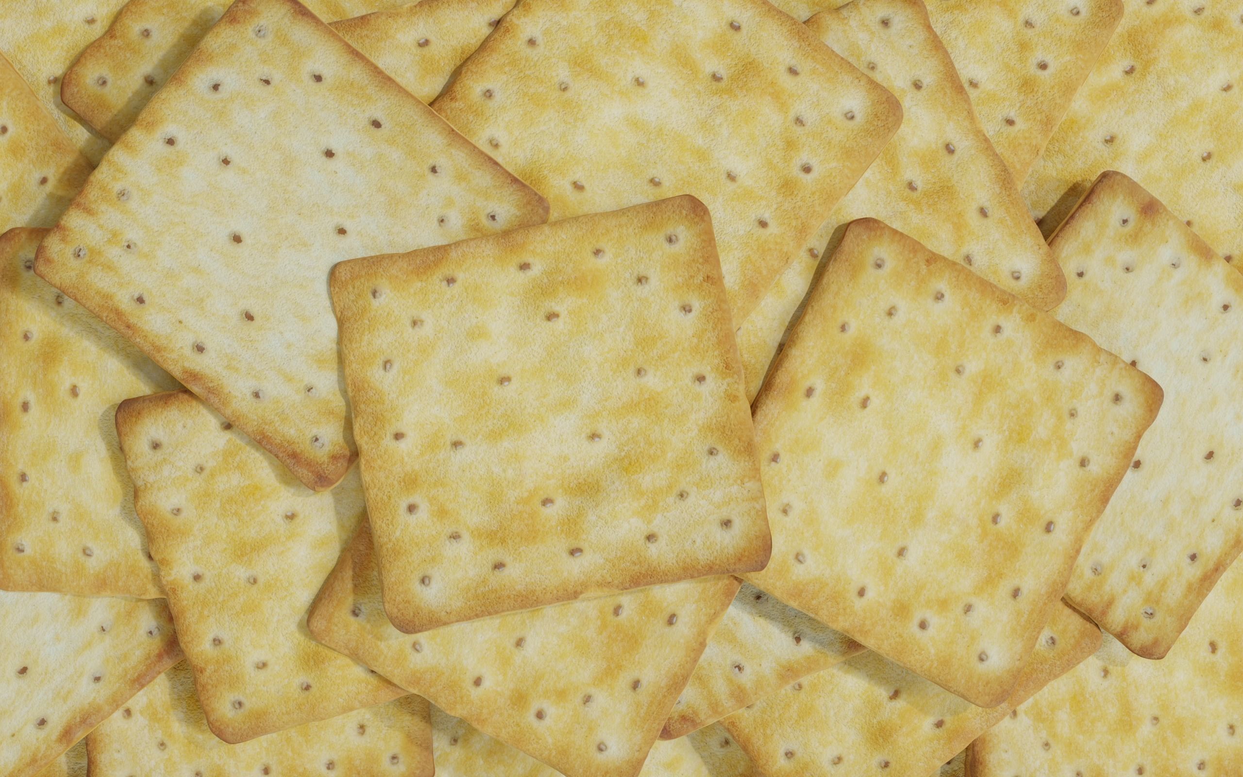 Biscuit cracker  realistic 3D model_2