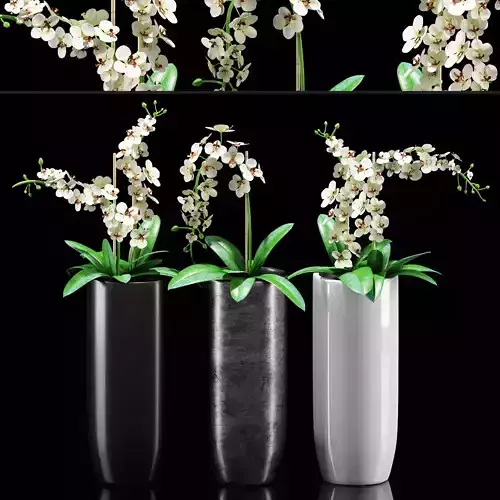 Plants 216 3D model