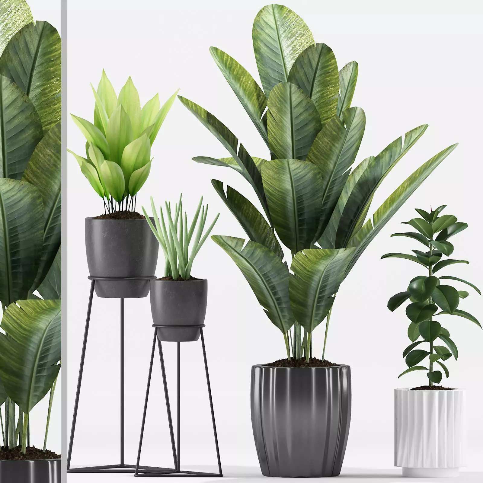 Plants 212 3D model_0