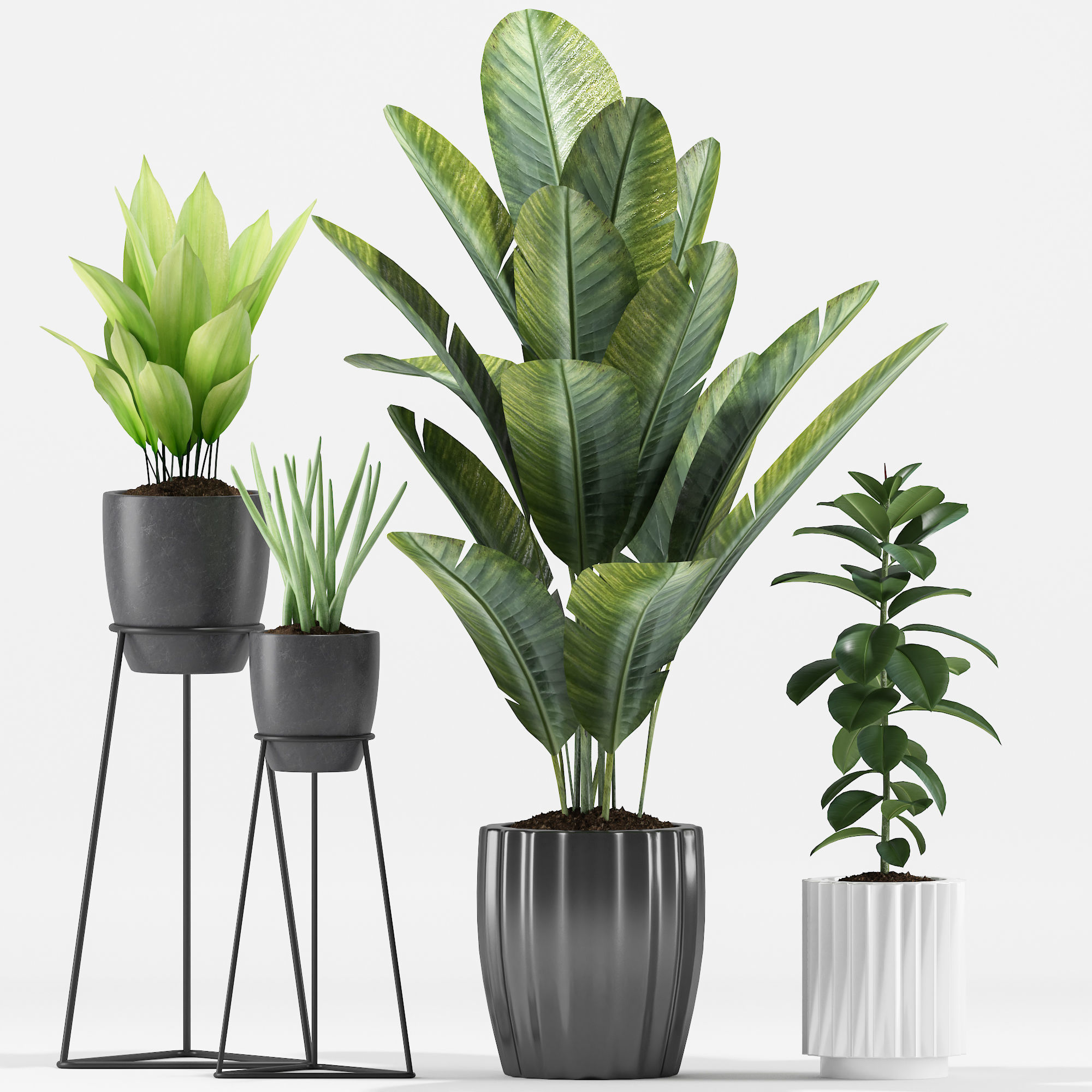 Plants 212 3D model_1