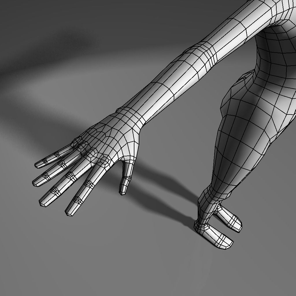 Base human meshes regular body type pack Free low-poly 3D model_11