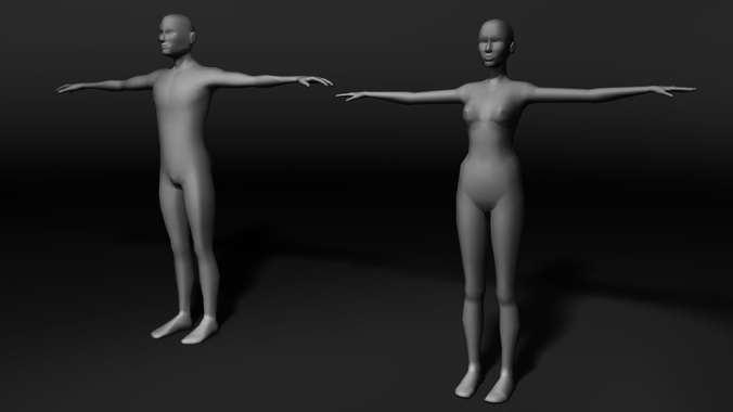 Base human meshes regular body type pack Free low-poly 3D model