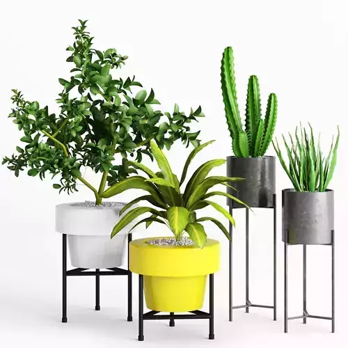 Plants And Planters 3