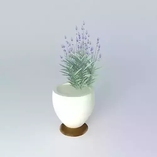 Cup with Lavender