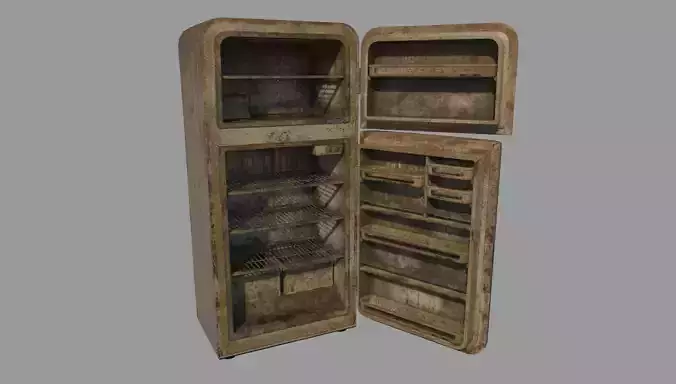 Abandoned Fridge