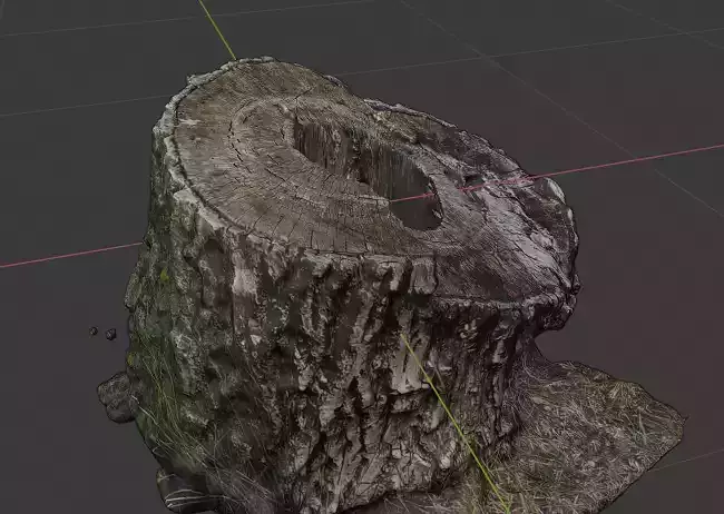 Tree snag