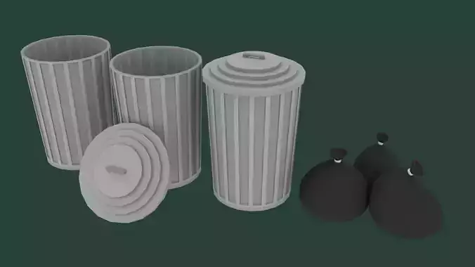 Garbage Cans And Bags