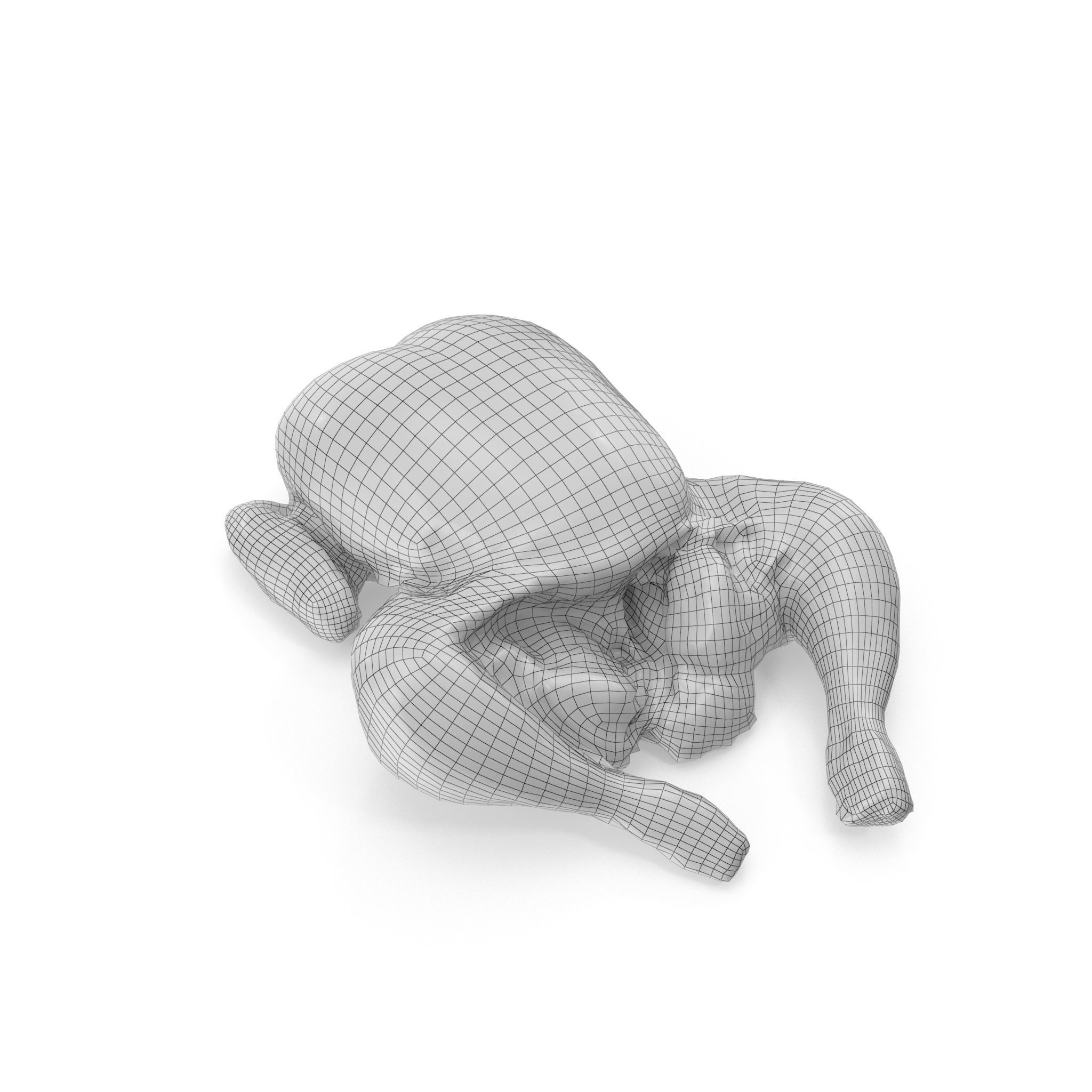 Raw Chicken seasoned with sage - 4K textures 3D model_18