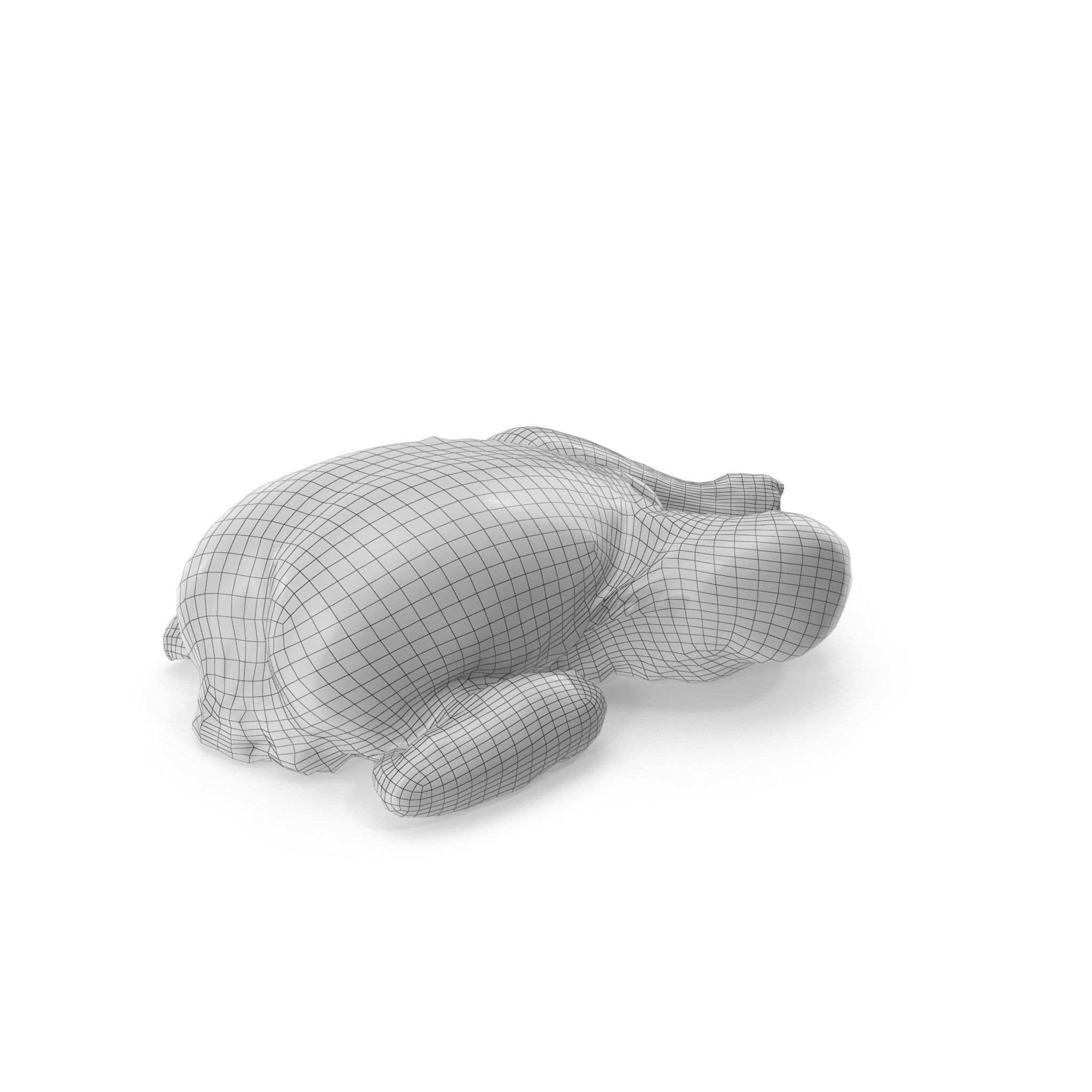 Raw Chicken seasoned with sage - 4K textures 3D model_21