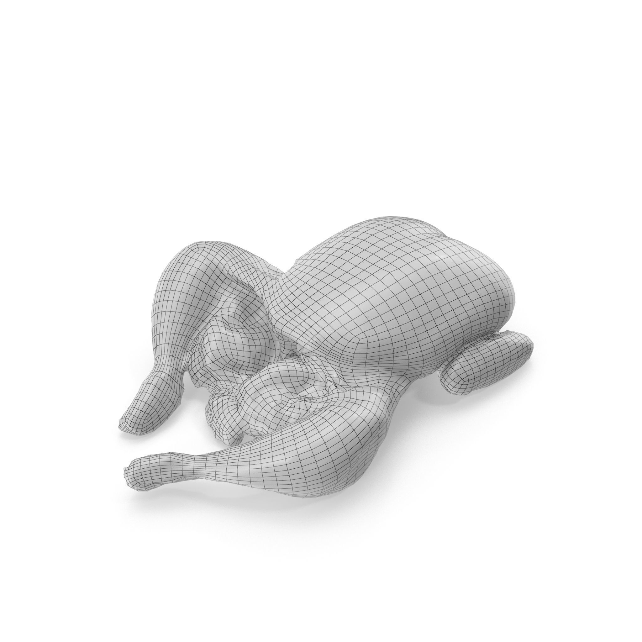 Raw Chicken seasoned with sage - 4K textures 3D model_19