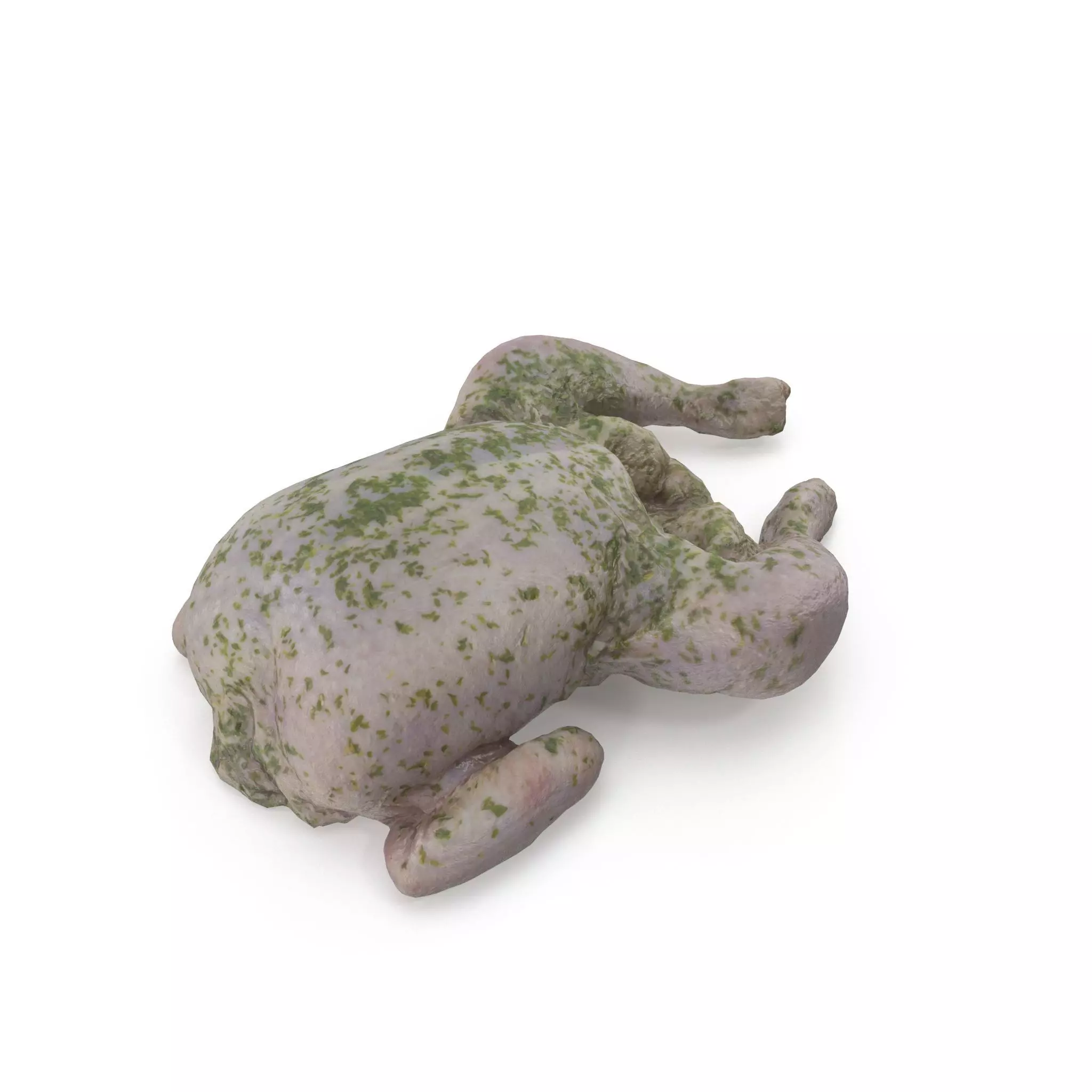 Raw Chicken seasoned with sage - 4K textures 3D model_0